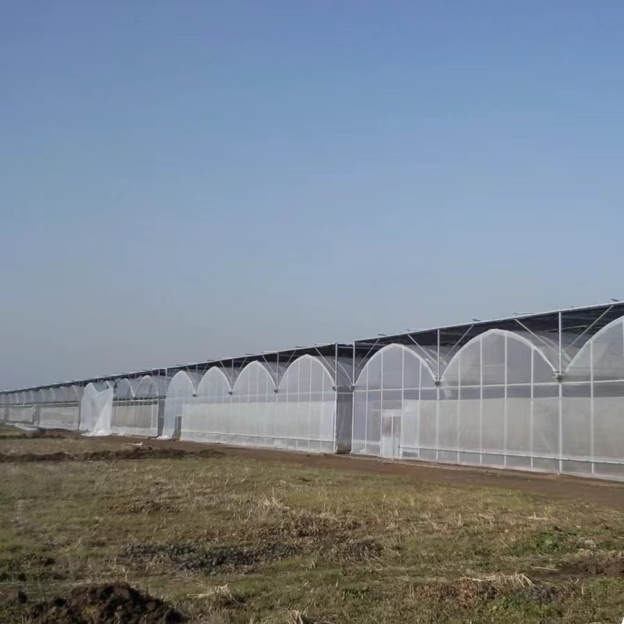 China Origin Multi-Span Film Greenhouse