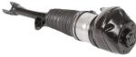 37107915953 Air Suspension Parts Air Suspension Strut
