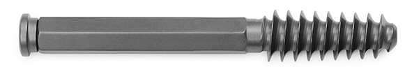 Plate and Screw Lag Screw Titanium Implant use with Proximal Femur Plates