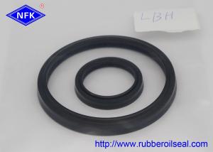 Quality Cylinder Rod Rubber Dust Seal DSI LBI LBH VAY DH Different Type High Temp Resistant for sale