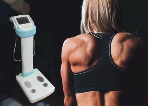 Quality Professional Body Composition Analyzer / Body Analysis Machine With LCD Display for sale