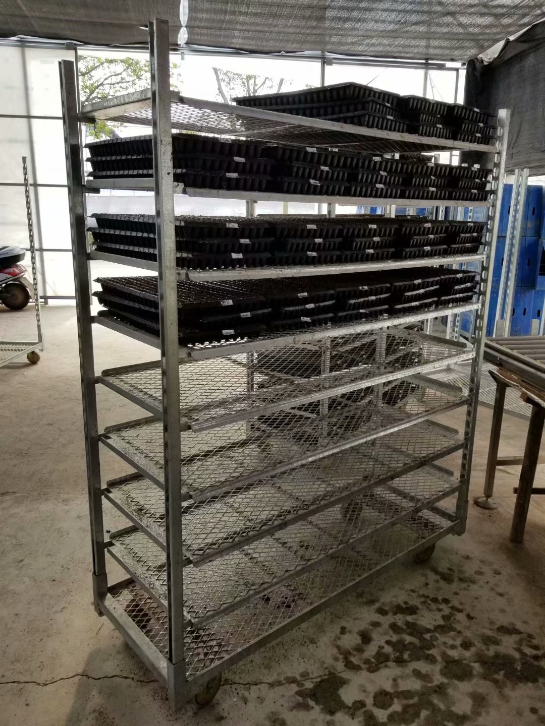 Hot Galvanized Plywood Greenhouse Flower Carts Customized Trolley For Transport