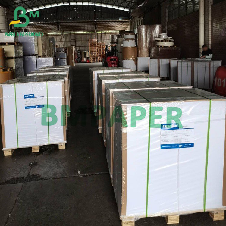 100# 80# 70# White Text Coated Art Paper Gloss / Matt Paperboard 24" 36" 610mm 914mm
