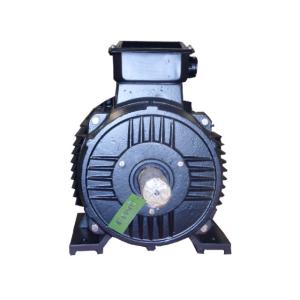 Quality 10kW Permanent Magnet Generator Air Cooled 50Hz/60Hz for sale