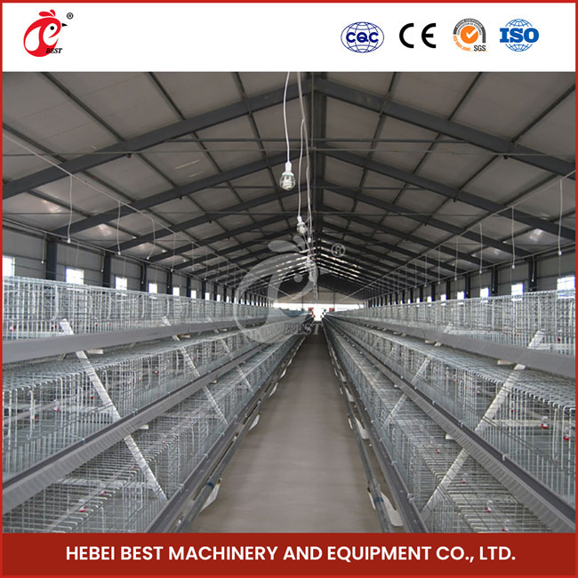 20,000 Birds Easy Operate Full Automatic Broiler Cage System For Chicken Farm Sandy