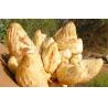 Buy cheap 100% Natural Cistanche Tubulosa Extract/Total glycosides 70%/Echinacoside20% from wholesalers