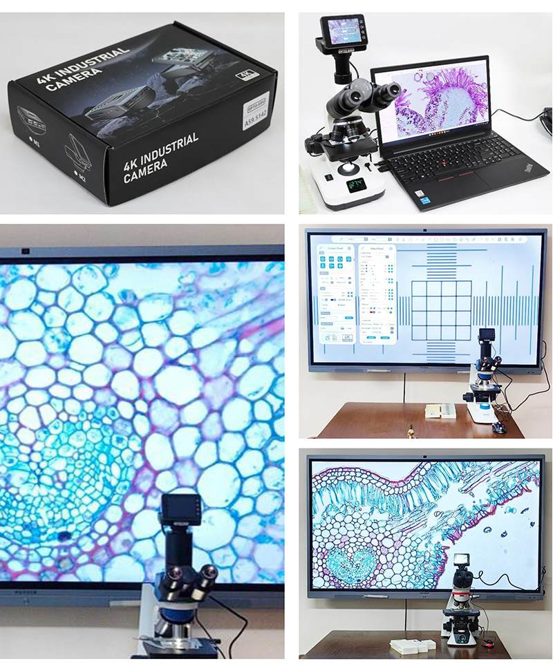 OPTO-EDU A59.5142 8.0M 4K Digital Microscope Camera with 1/1.8" Sony CMOS Sensor and 2.8" LCD Touch Screen
