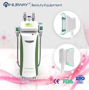 Quality Professional RF Cryolipolysis Slimming Machine With Safety Protection Measures for sale