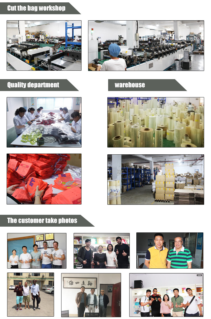 100% Eco Friendly Biodegradable Seal Bag Customization Die Cut Plastic Bag