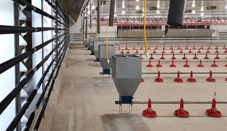 Broiler Automatic Feeder Chain Feeding System Poultry
