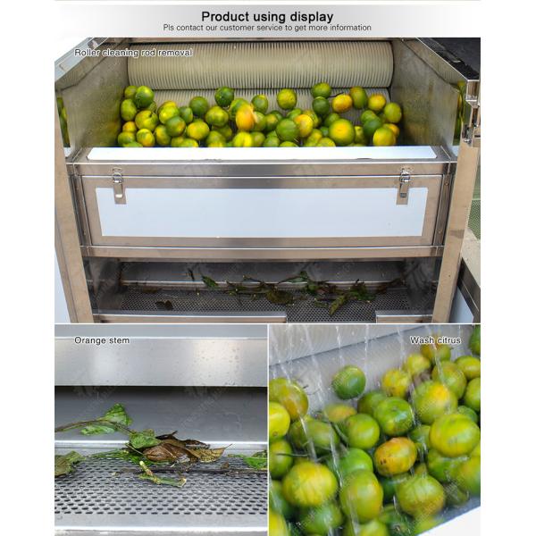 Citrus Stalk Eliminated Lemon Processing Machinery Industrial Air Bubble Brush