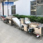 frozen vegetable line vegetable cutting and washing machine machinery processing