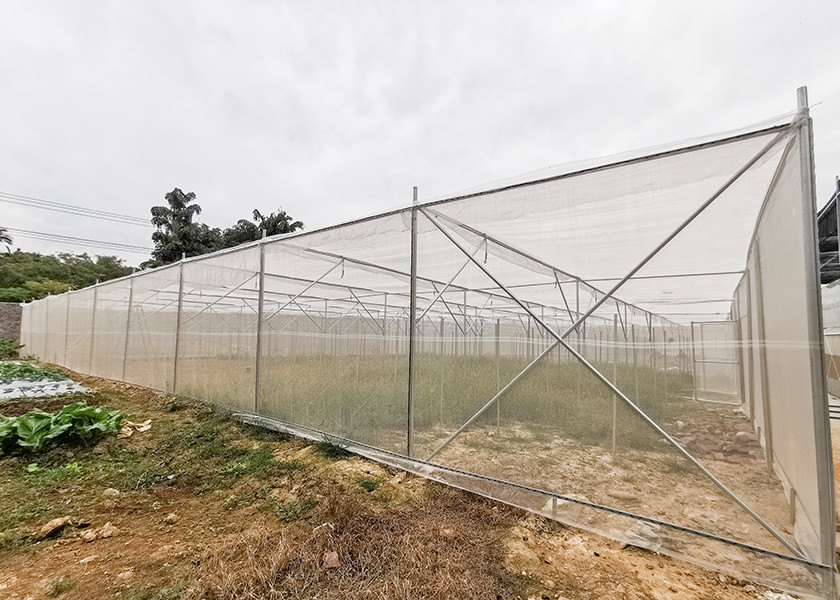 Horticultural Insect Net House Steel Frame For Flower Cultivation