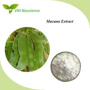 China Natural Velvet Bean Seed Extract / L Dopa Mucuna Pruriens Extract on sale