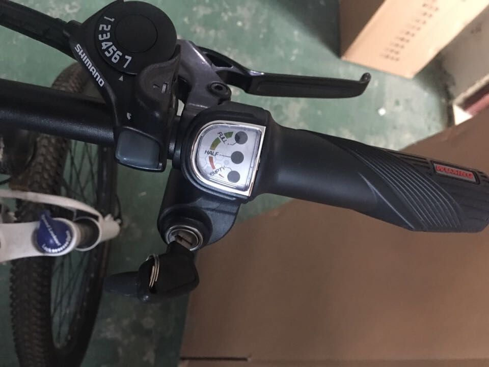 Western Style 36v 250 Watt Electric Powered Mountain Bike
