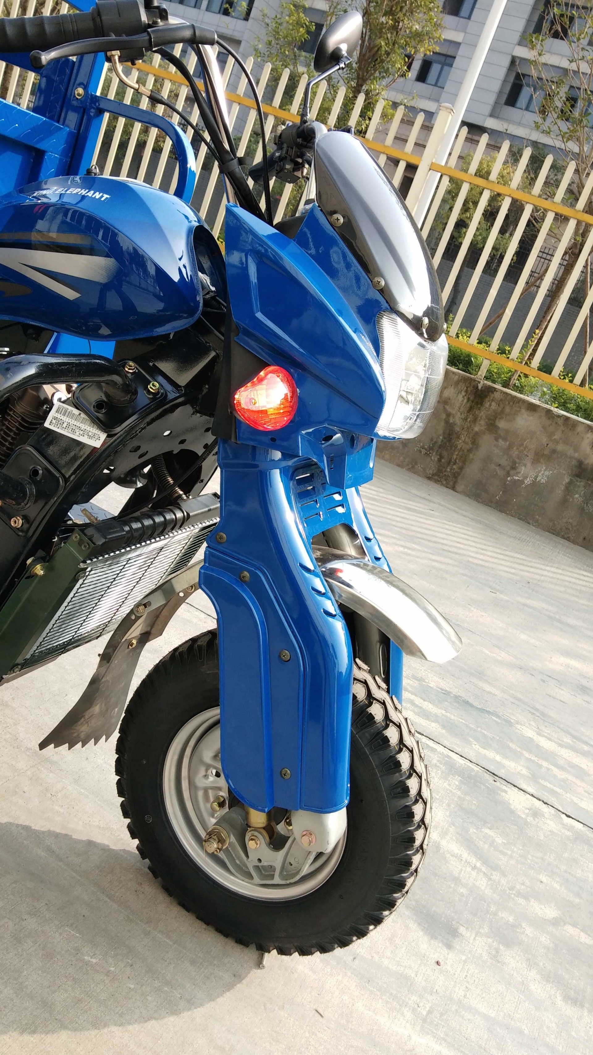 Myanmar Tricycle 250cc Three Wheel Motorcycle with Air Cooled 201 cc Engine