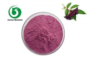 China 100% Natural Herbal Black Elderberry Fruit Extract Elderberry Powder on sale
