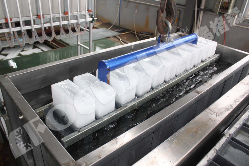 Motor-driven 10 ton FIB-WHB Brine Cooling Block Ice Machine for Water-Cooling System