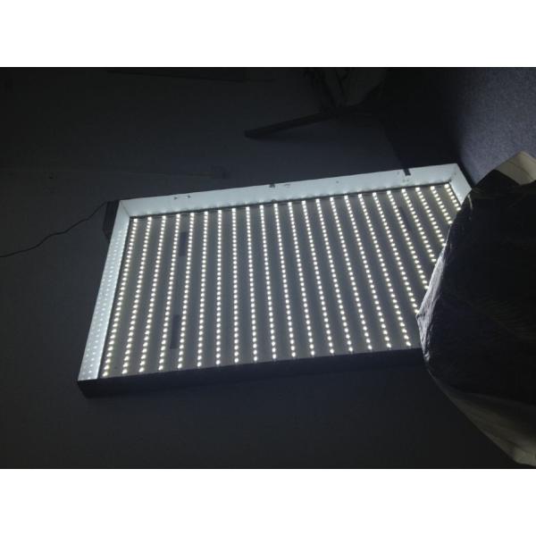 LED Light Box