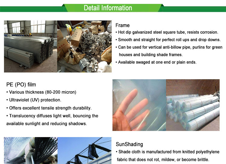 PC Sheet Cover Material Multi-Span Agricultural Greenhouse for Vegetable Growing