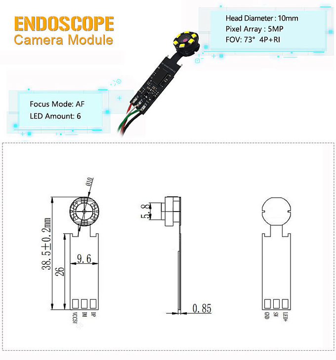 5MP Auto Focus 30FPS USB Endoscope Camera Module With 6pcs Led