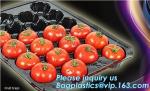 plastic plant vegetable nursery high quality seedling trays wholesale,98/105/128