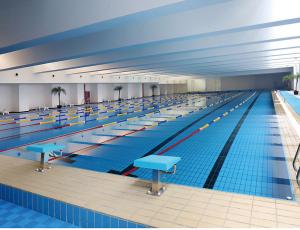 China S003 Lane 24kg/Carton Ceramic Decking Tiles Swimming Pool , 115x240mm Glazed Edge Tile on sale