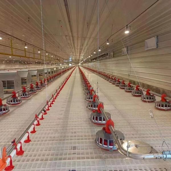 Best Price Automatic Poultry Farm Broiler Feeding Line Chicken Feeding and Drinking Pan