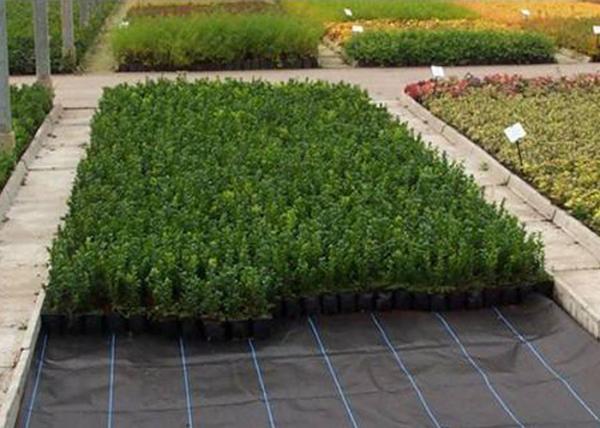 Buy Weed killer Agriculture Non Woven Fabric Plant / Ground Cover Breathable Anti Frost at wholesale prices