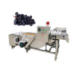 Spinat Raisin Washing Machine Made In China