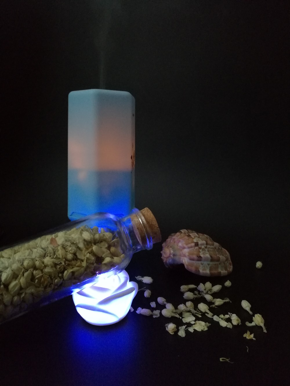 Compact Design Electric Aromatherapy Diffuser Super Quiet Design No Noisy