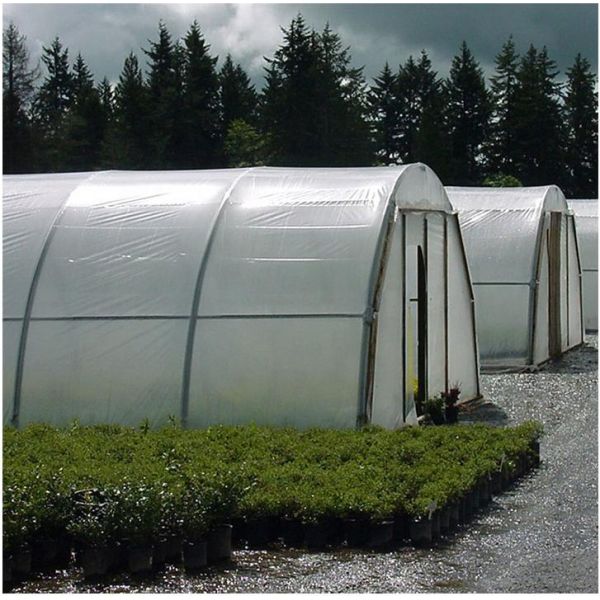Polyethylene film covering for greenhouse structure