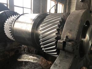 Quality High Precision Worm Wheel Gear For Transmission Gear Phosphate Mines for sale