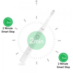 China Ultralight 3.7V Oral Care Sonic Toothbrush , IPX7 Portable Electric Toothbrush on sale