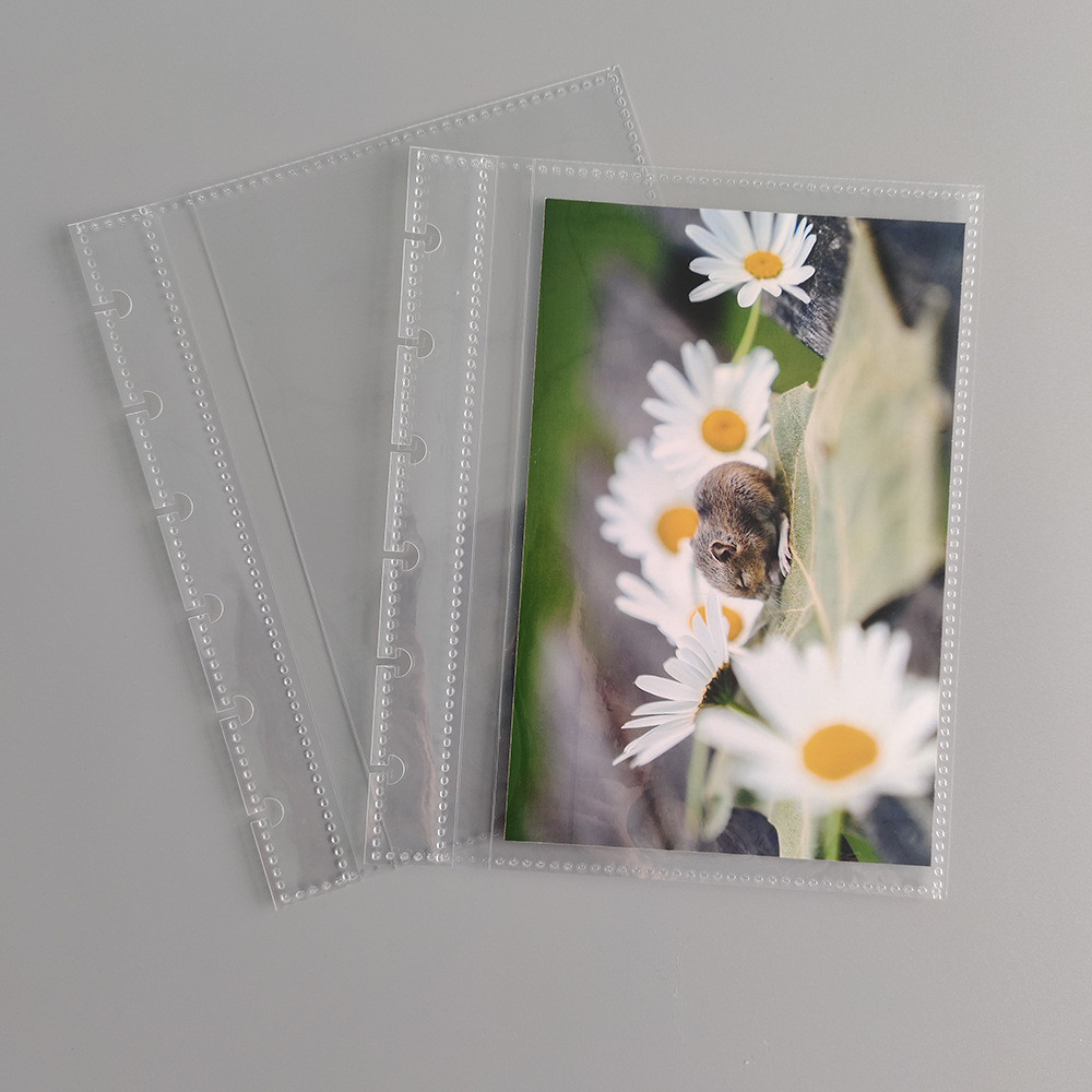 ODM Loose Leaf Card Collection Binder Mushroom Hole Dustproof