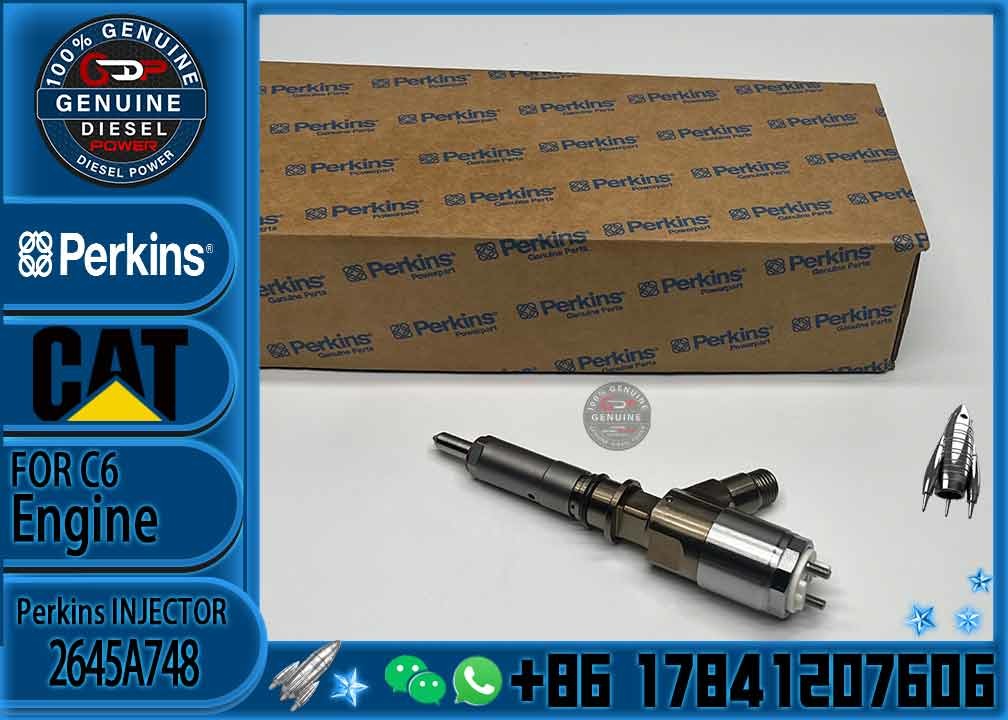 Common rail injector fuel injecto 10R-7675 2645A748 2645A743 320-0670 for C4.2 C6.4 Excavator C4.2 C6.4 320D