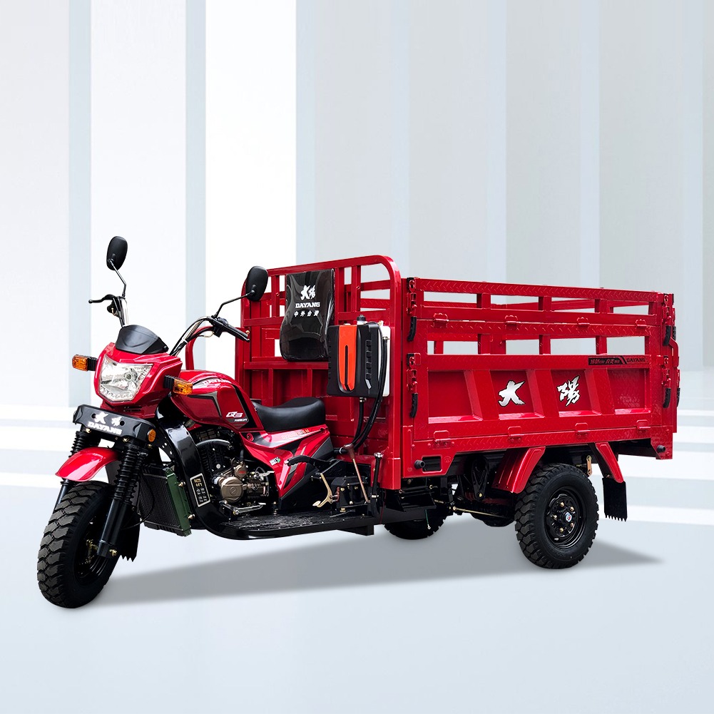Peru Market DAYANG Tricycle with Powerful 200cc/250cc/300cc Engine and Three Wheels Type