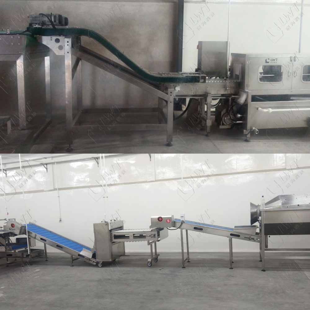 High Capacity Canned Sardines Making Machine With Automatic Grade Automatic