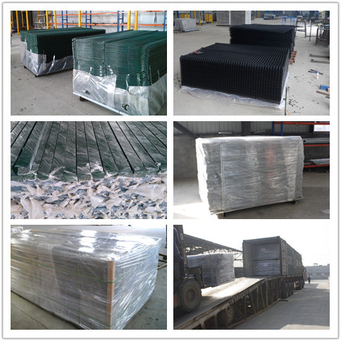 cheap welded wire mesh curved fence / high security fence panels / garden fence wire fencing