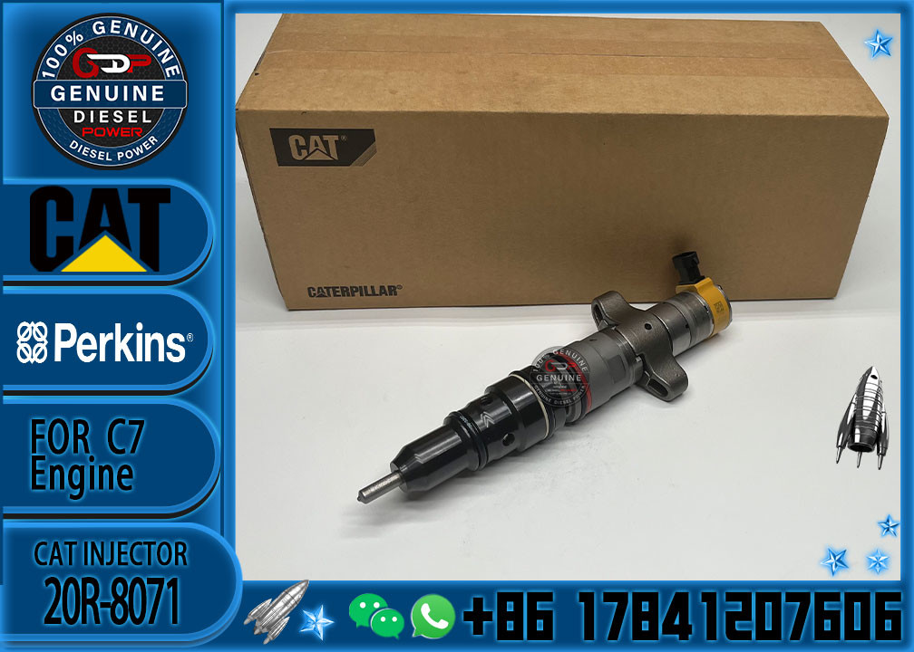 Diesel Engine Parts Common Rail Fuel Injector 20R-8071 for CAT C7 Diesel Engine CNDIP Factory price