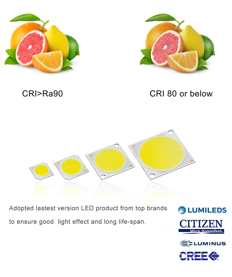 Led downlight CRI AND CHIP.jpg