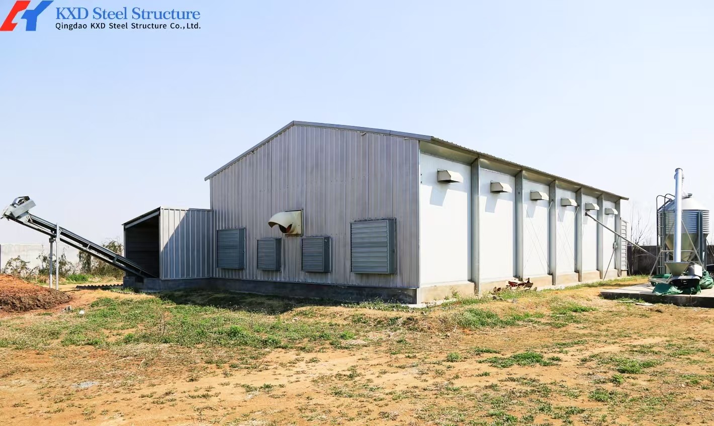 Steel Structure Broiler Chicken House with Automated Feeding System