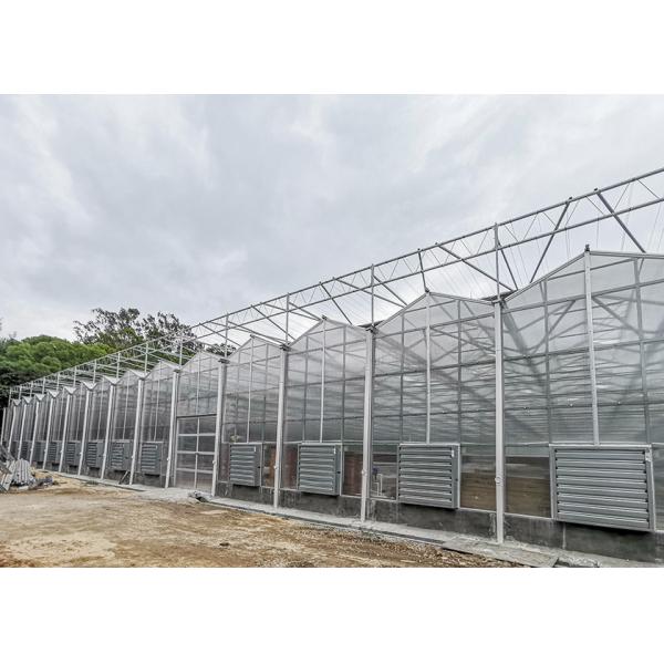 Polycarbonate Multi Span Greenhouse For Hot Climate 12 Meter Width