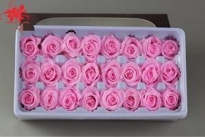 China Wholesale real preserved rose stabilized natural preserved fresh flowers for Valentines day on sale