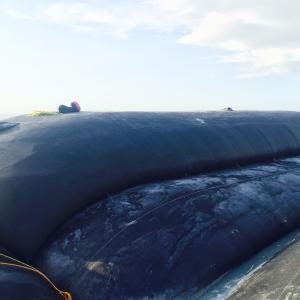 Buy cheap GT1000 High Strength PP Woven Geotextile 200kn/M Geotube Breakwater In Marine from wholesalers