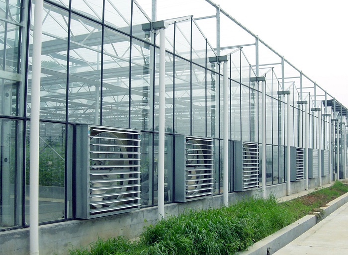 Hydroponic Vertical Farming Greenhouse for Herb and Tomato Growing in Customized Size