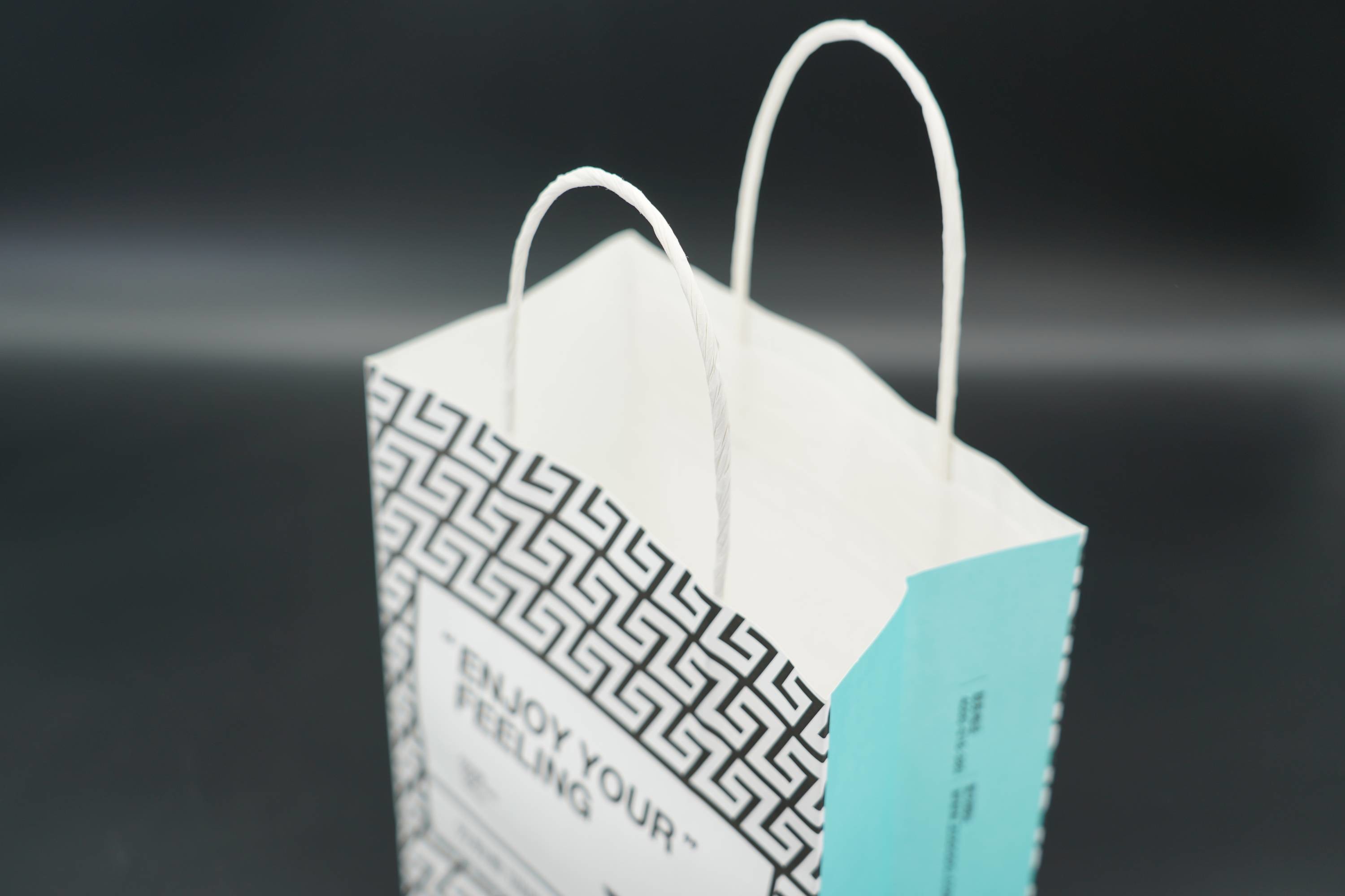 Twisted Handle Paper Bags Custom Recyclable Kraft Paper Gift Bags