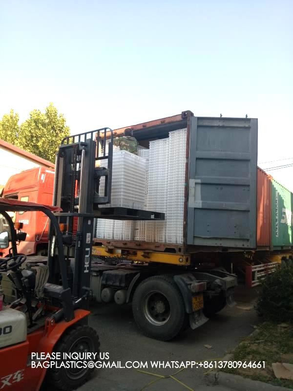 sustainable white chicken cage 680*490*160mm Virgin PP Transportation Chicken Cage