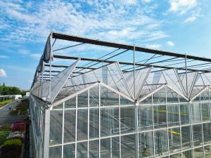 Quality Multi Span Large Glass Greenhouse Kit Span Width 9.6m 10.8m 12m for sale