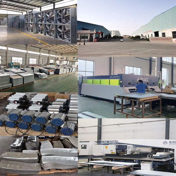Good Quality Greenhouse Chicken Farm Industrial Workshop Ventilation Fan air Cooler Fan Exhaust Centrifugal Fan